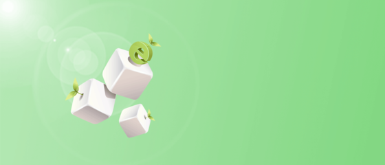 臺州網(wǎng)站搭建【臺州網(wǎng)站建設(shè)